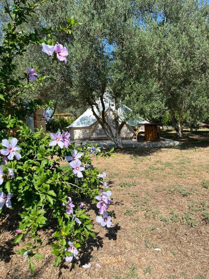 Eco Glamping With Pool Between Nafplio And Argos Buitenkant foto