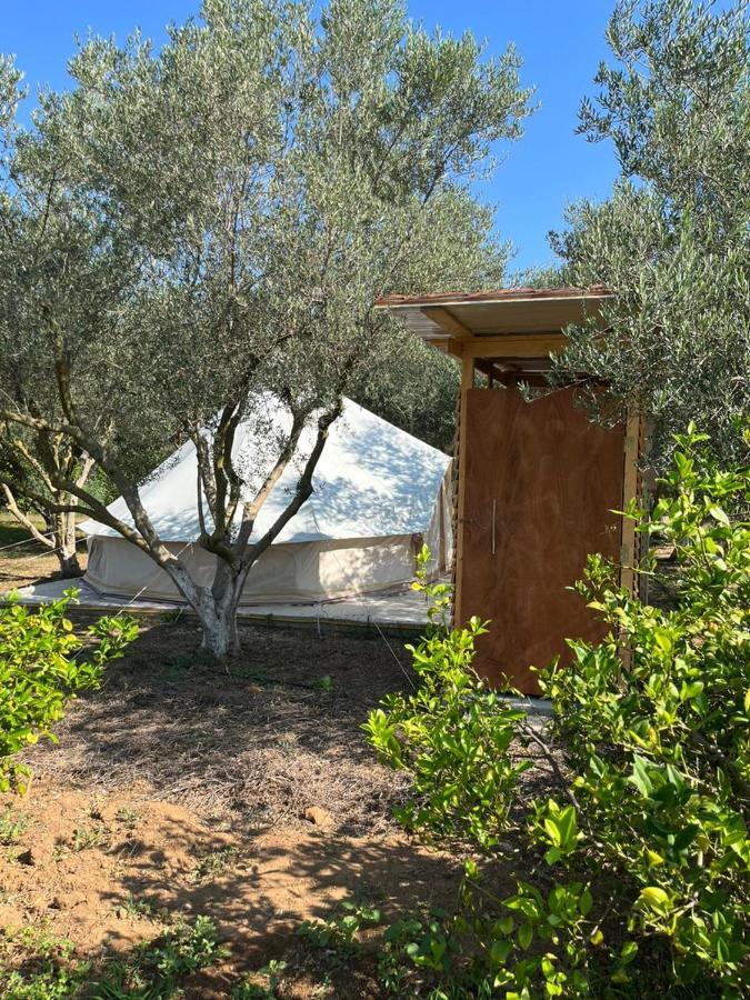 Eco Glamping With Pool Between Nafplio And Argos Buitenkant foto