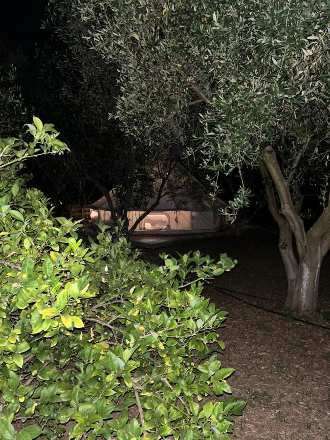 Eco Glamping With Pool Between Nafplio And Argos Buitenkant foto