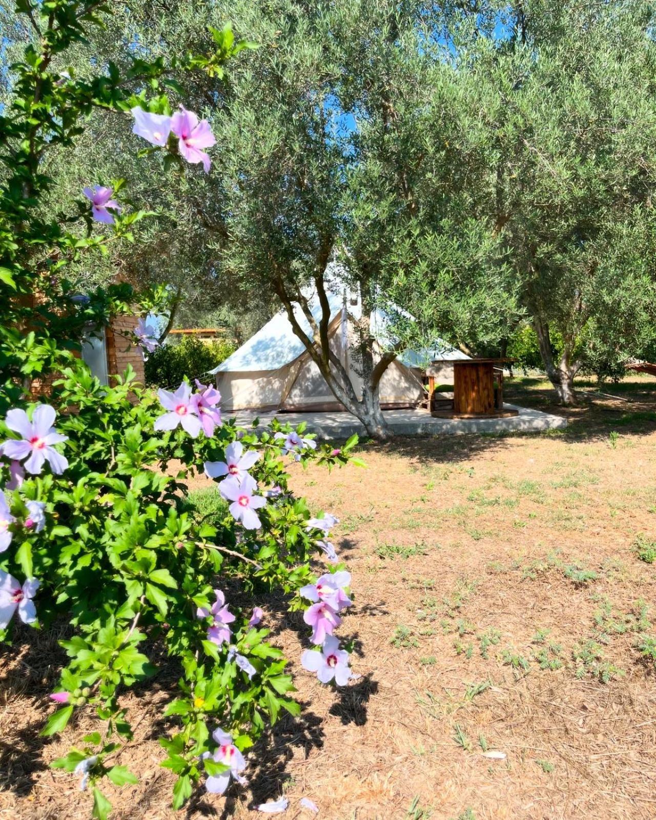 Eco Glamping With Pool Between Nafplio And Argos Buitenkant foto